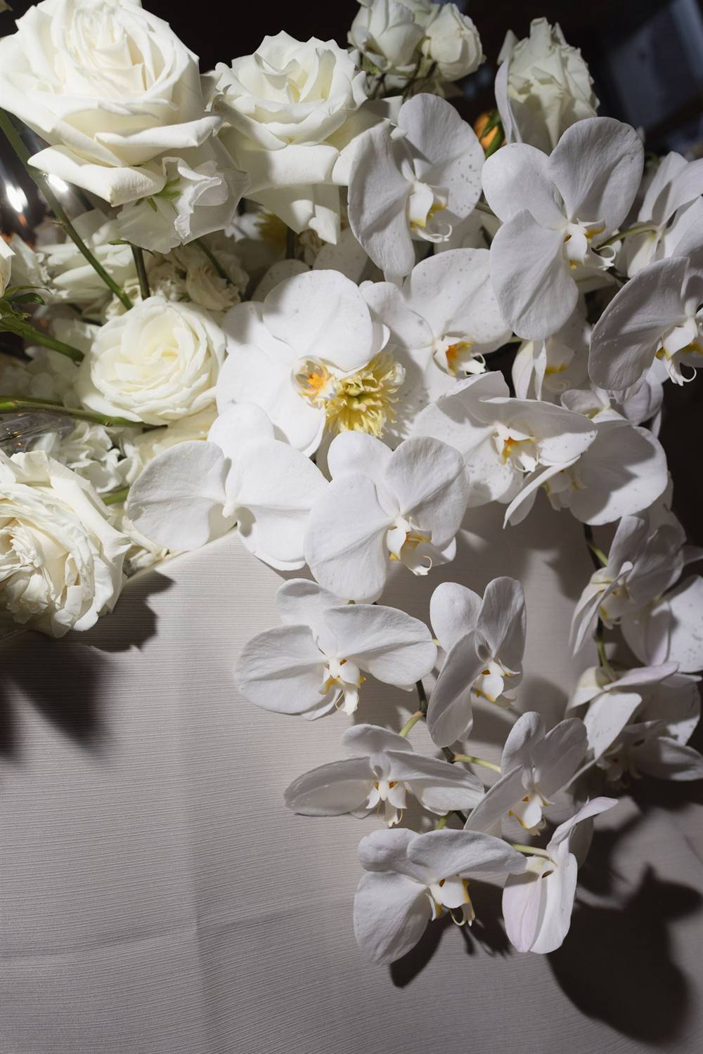 White orchid blooms reflected in a gilded mirror